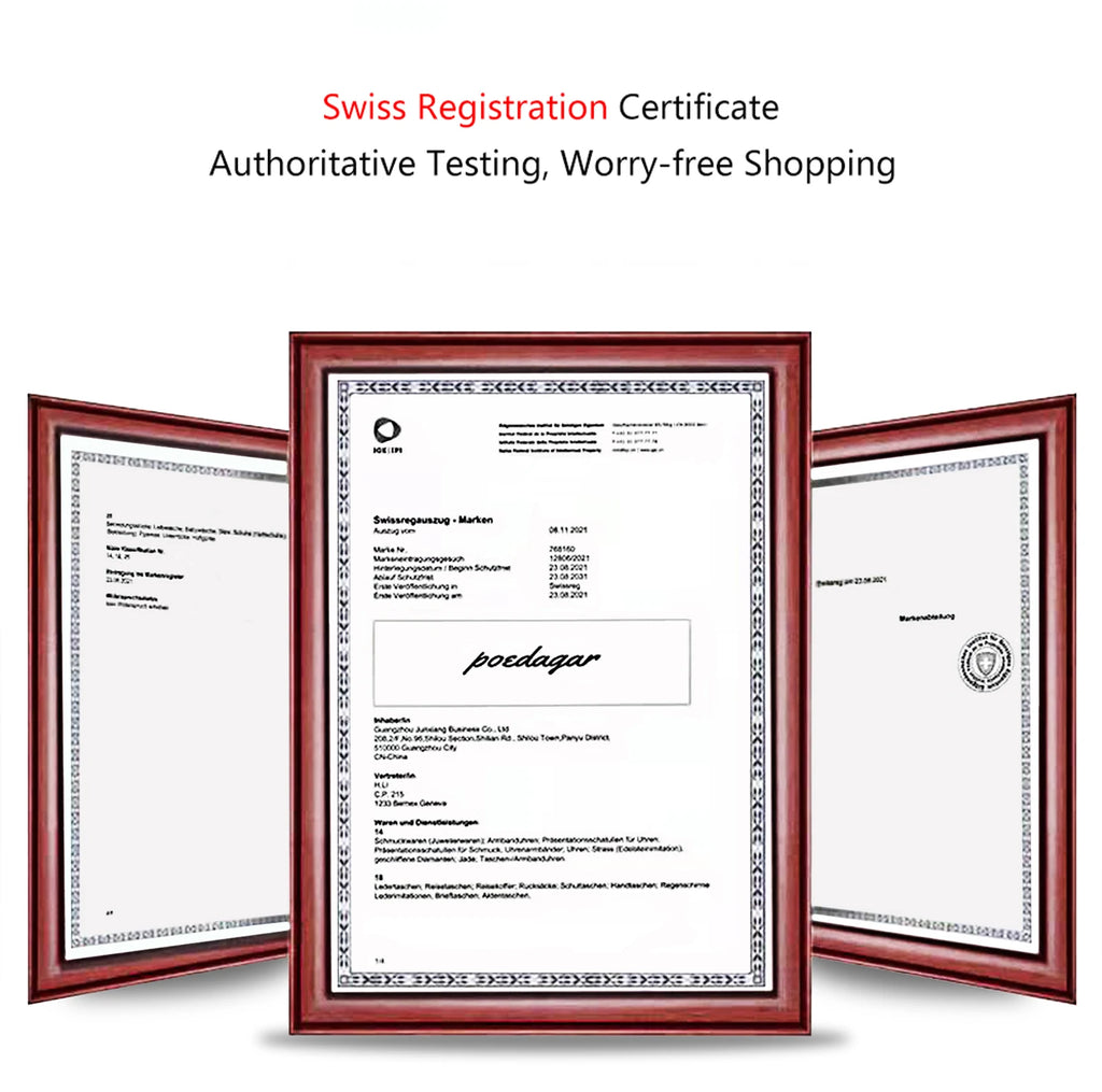 S-3Globe Luxury Chronograph Watch SILVER Brand Watch